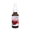 extrait propolis brune bio sans alcool de la marque propolia