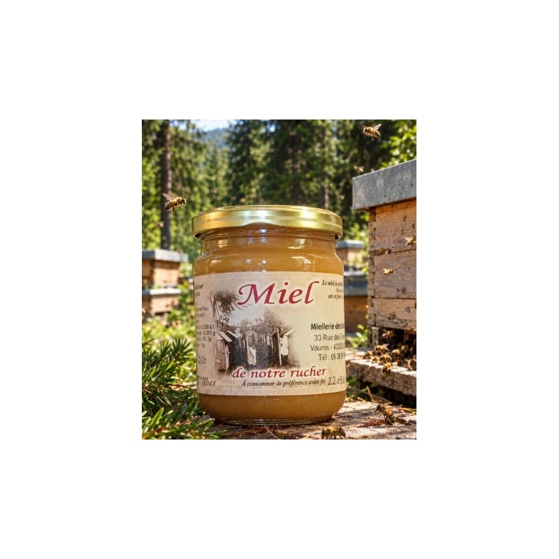 Miel de forêt produit en haute loire pot de 250 GR