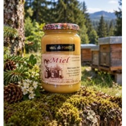 miel de forêt pot 500gr