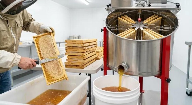 production de miel
